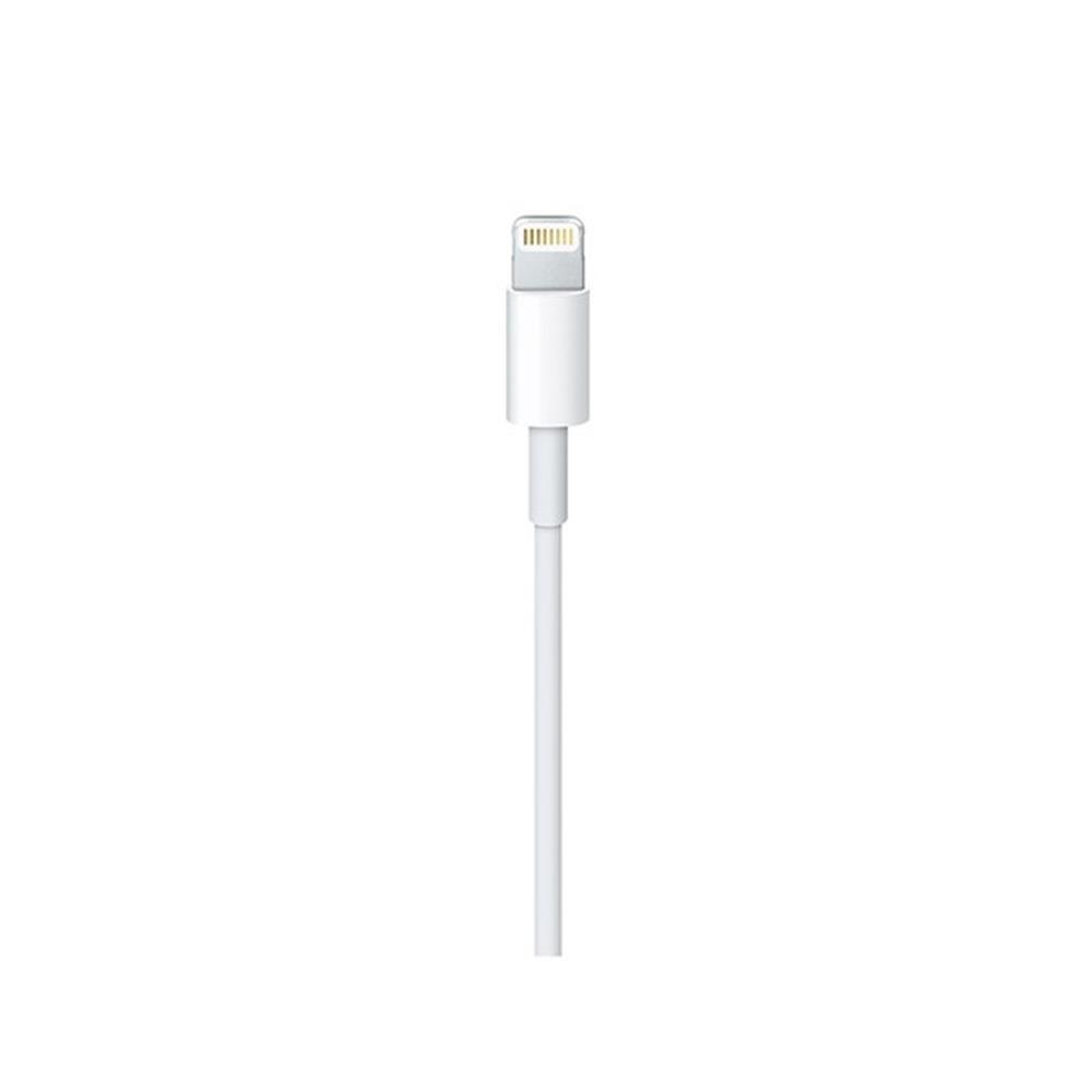 Apple Lightning USB-C 2.0m biay / 2